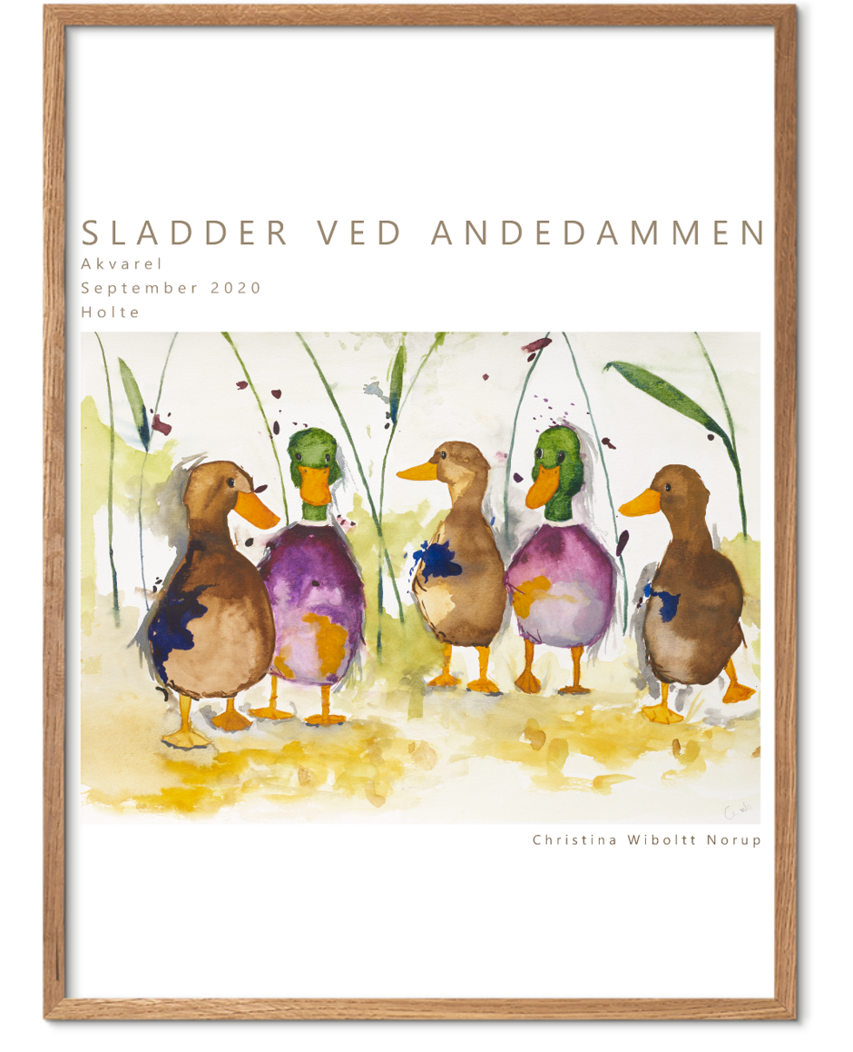 Akvarel plakat med ænder og titel "sladder ved andedammen"
