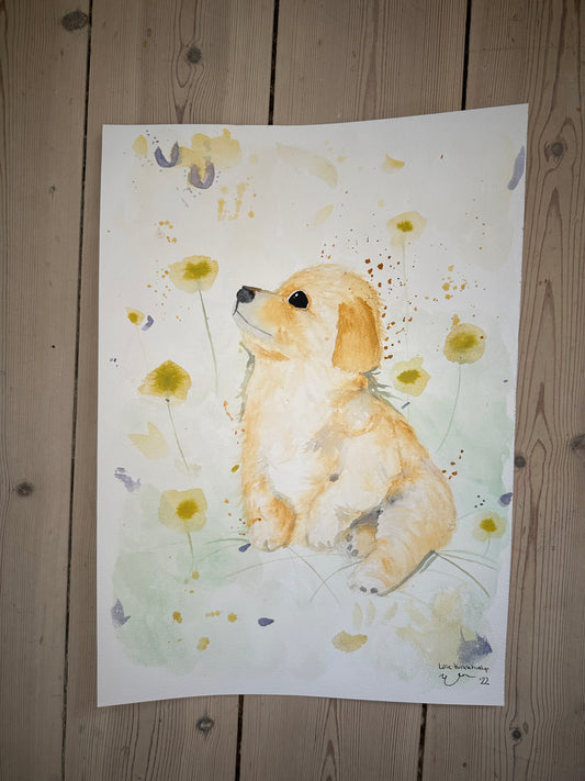 Akvarel hunde maleri A3