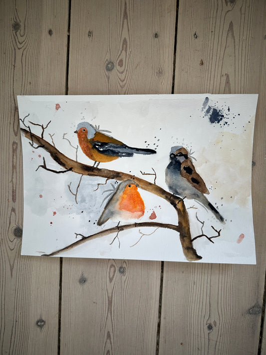 Akvarel fugle maleri A4